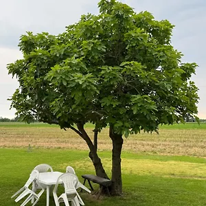  Pensjonat Ca' Rosin - Tra Relax E Privacy